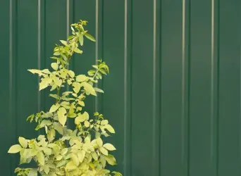 PVC services by pvc fence supplier in uae